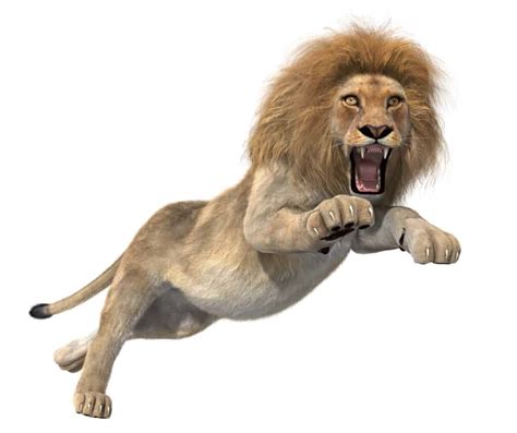 How High (And Far) Can Lions Jump? - A-Z Animals