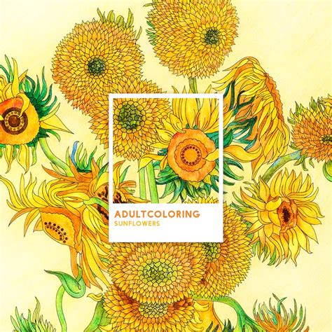Van Gogh Sunflowers Images | Free Vectors, PNGs, Mockups & Backgrounds - rawpixel