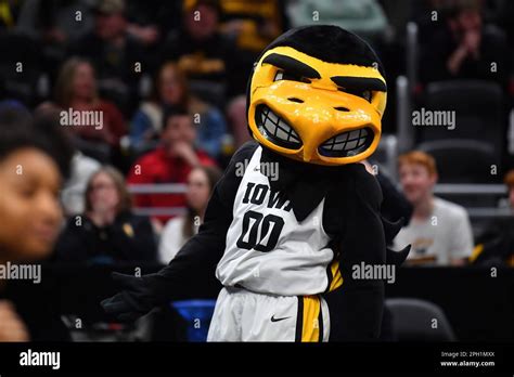 Herky the hawk hi-res stock photography and images - Alamy