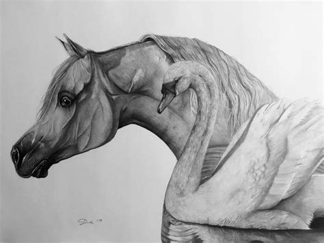 Arabian horse drawing #rysunek #pencil #drawing #horse | Horses, Drawings, Horse drawing