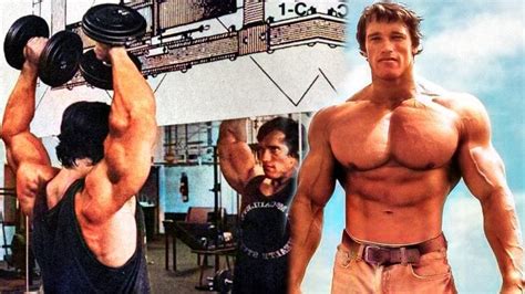 Arnold Press — How-To, Muscles Worked, Variations, and Benefits – Fitness Volt