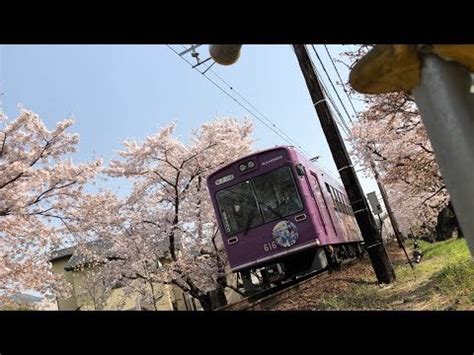 Cherry blossom tree tunnel Kyoto🌸2018 - YouTube