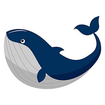 Whale Vector Art PNG Images | Free Download On Pngtree