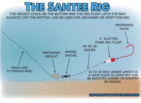 The Santee Rig | Fishing tips, Catfish rigs, Catfish fishing