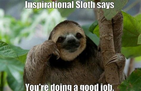 Inspirational sloth | Sloth, Classroom memes, Sloth facts