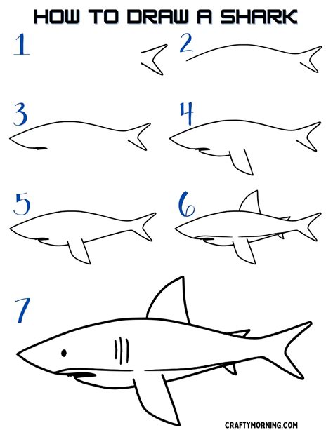 How to Draw a Shark (Easy Step by Step) - Crafty Morning