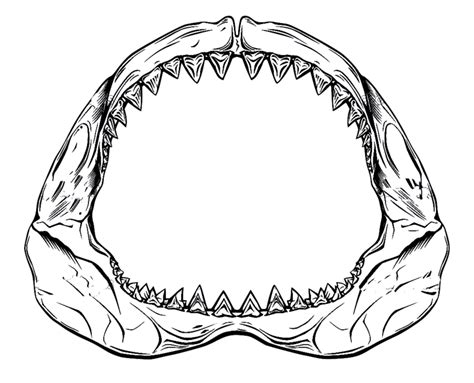 Shark Mouth Drawing | Free download on ClipArtMag