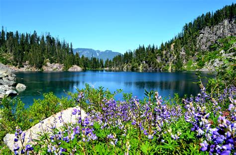 Lake Serene - Bridal Veil Falls — Washington Trails Association