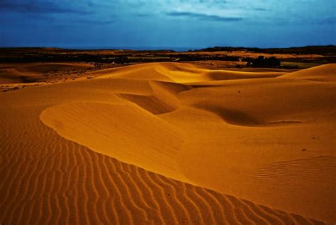 Explore the White and Red Sand Dunes in Mui Ne – Captivating Desert ...