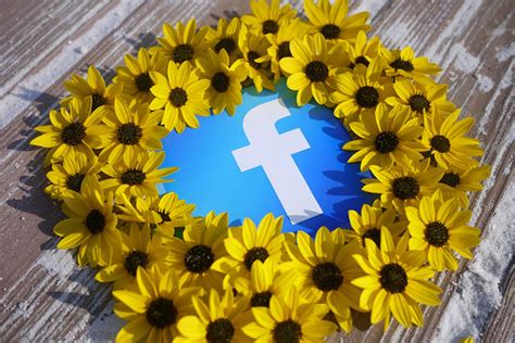 Facebook Summer Fun | Please feel free to use this image und… | Flickr