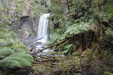 Hopetoun Falls, Otway National Park, Australia [OC] [5184x3456] : r ...