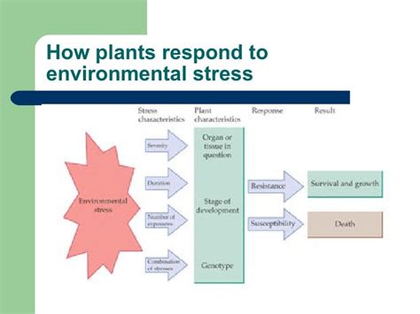 Plant response to stress