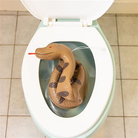 Toilet Snake