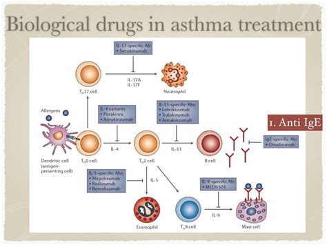 Biologic Therapy for Asthma