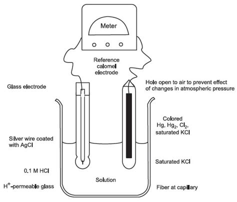 pH Meter | Tools and Techniques in Biological Studies | Biotechnology Methods | Botany ...