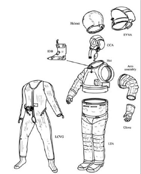 Basic components of the Shuttle space suit. | Download Scientific Diagram