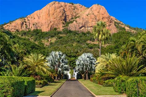 Uma Vista De Castle Hill Townsville Imagem de Stock - Imagem de jardins ...