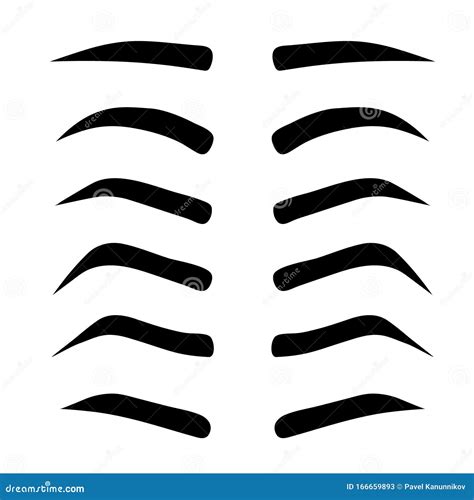 Set Of Female Eyebrows In Different Shapes And Types Vector Illustration | CartoonDealer.com ...