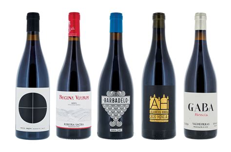 Spanish Mencía: Panel tasting results - Decanter