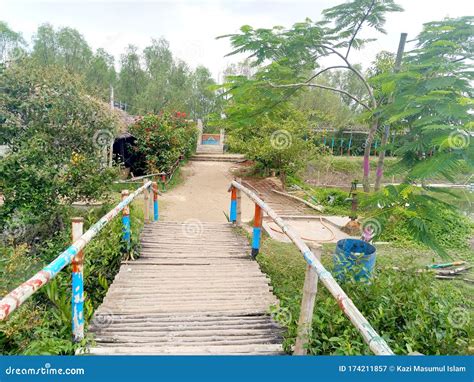 Lake In Sundarban Mangrove Forest Stock Photo | CartoonDealer.com #51952728