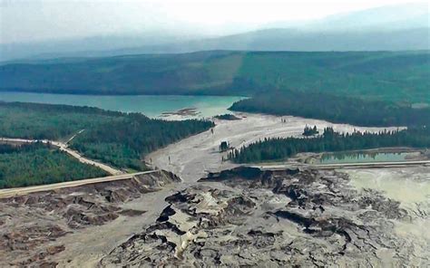 Salmon run threatened by ‘unprecedented’ British Columbia mining spill ...