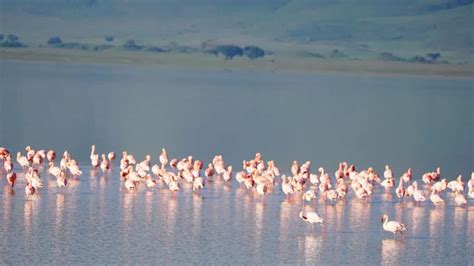 Lake Manyara National Park