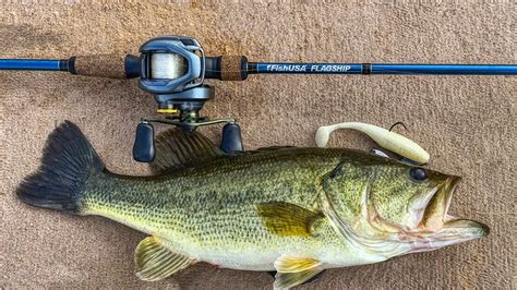 FishUSA Flagship Bass Casting Rods Review - Wired2Fish