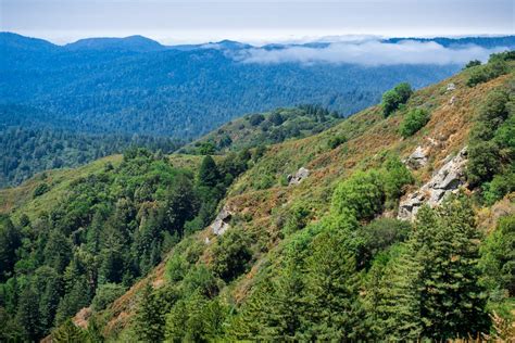 Santa Cruz Mountains