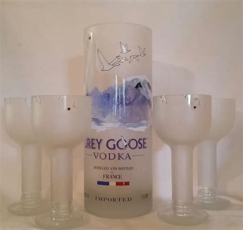 Grey Goose martini glasses & wine chiller Grey Goose Martini, Self Watering Planter, Wine And ...