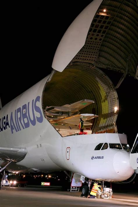 Inside the Airbus Beluga cargo aircraft - Wales Online