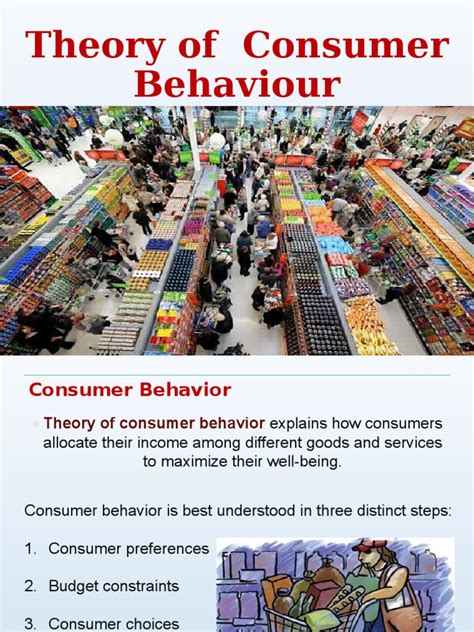 Theory of Consumer Behaviour | PDF | Utility | Consumers