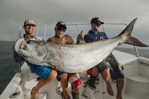 The giant tarpon rocking the fishing world | Flipboard