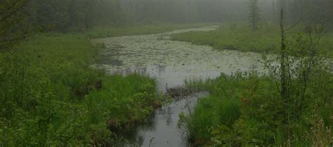 Sawbill Lake Campground, Superior, MN: 1 Hipcamper Review