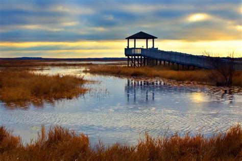 Lake Charles | Louisiana Holidays | Discover North America