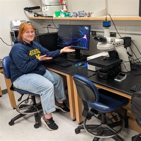 Setting up an automated fluorescent microscope + stereology system ...