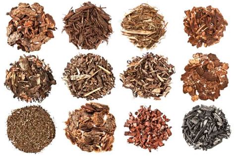 Organic Mulch: A Complete Guide to The Best Natural Mulches