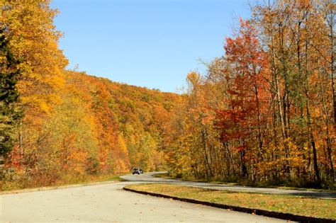 Wings & Wildflowers: Fall Foliage in Asheville, NC