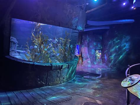 Aquarium at the Boardwalk | COST of Wisconsin, Inc.