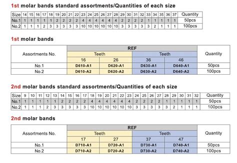 Orthodontic 1st, 2nd Molar Bands