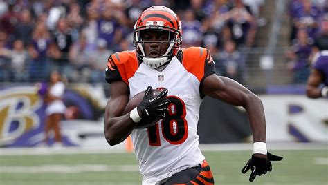 AJ Green Fantasy: Bengals WR's Injury Update & Week 13 Outlook