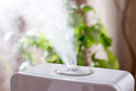 The Best Humidifiers for Dry Skin - Virtual Mall