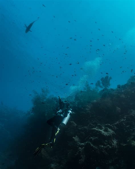 The coral reefs of Papua New Guinea | We love it Wild