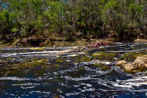 Suwannee River Wilderness Trail | Florida Hikes!