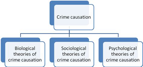 Theoretical criminology: Three theoretical explanations of crime caustion