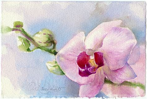 Orchid watercolor Orchid painting Orchid orchid art ptint