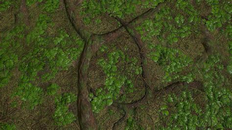 3D model PBR tileable detailed forest ground textures