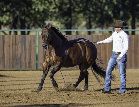 Clinton Anderson Adds Four Road Clinics to His 2016 Schedule - - The ...