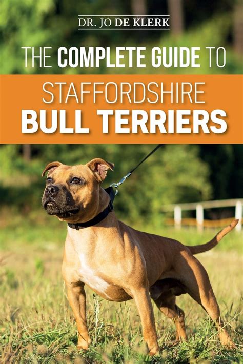 How To Train A Staffordshire Bull Terrier