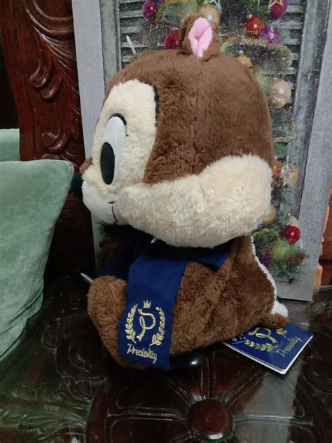 CHIP & DALE PRECIALITY PLUSH, BNWT, 12 INCHES, Hobbies & Toys, Toys ...