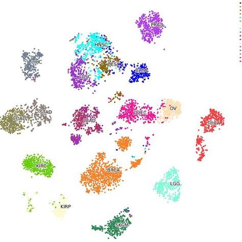 t-SNE of 32 primary tumor types using the top 1,000 highly variable genes. | Download Scientific ...